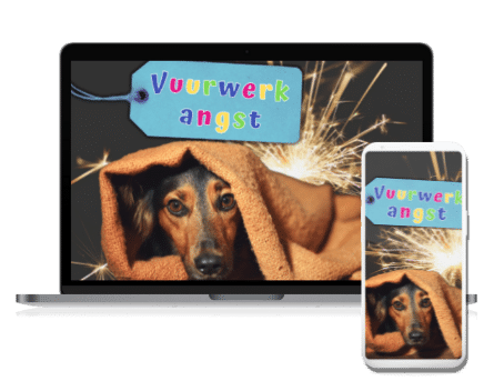 je hond bang voor vuurwerk