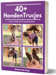 oude hond adopteren